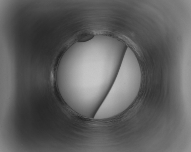 X0000102400405200808010959