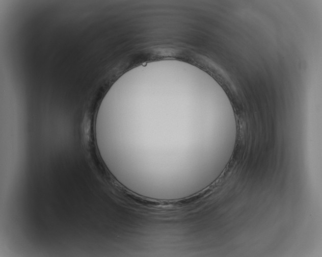 X0000102400406200808010959