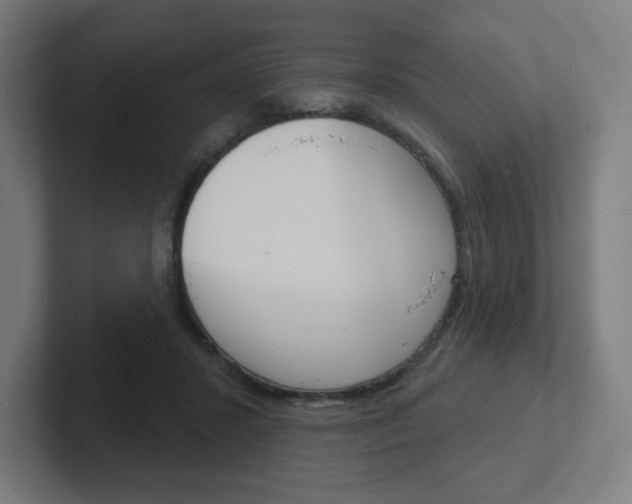 X0000102400407200808010959