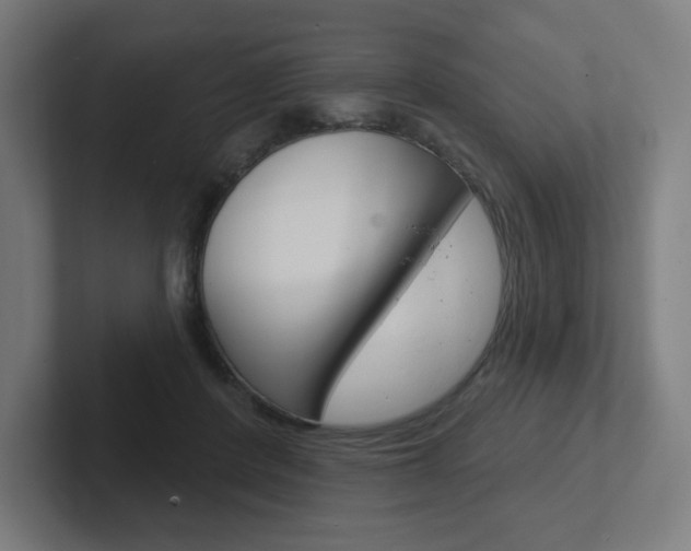X0000102400408200808010959