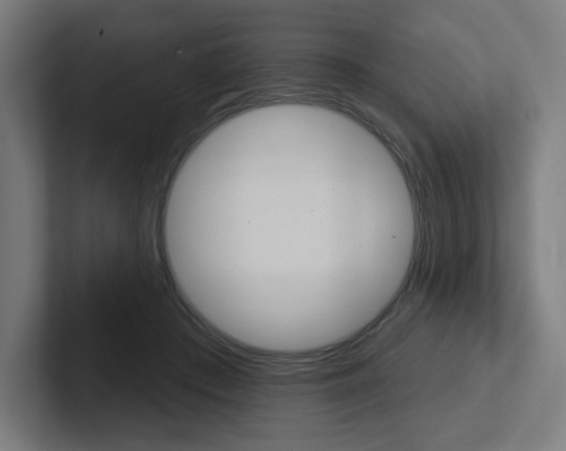 X0000102400409200808010959