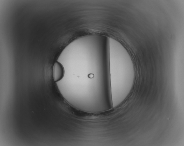 X0000102400412200808010959