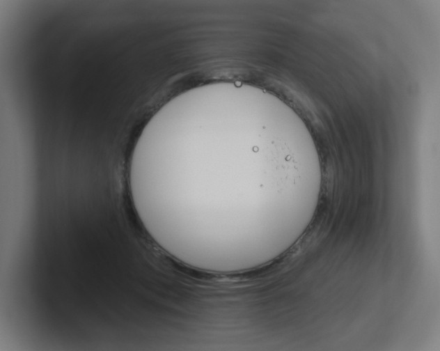 X0000102400413200808010959