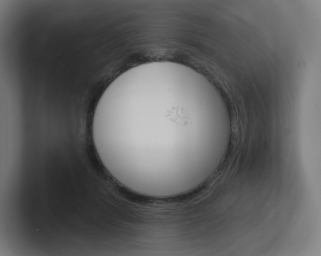 X0000102400416200808010959
