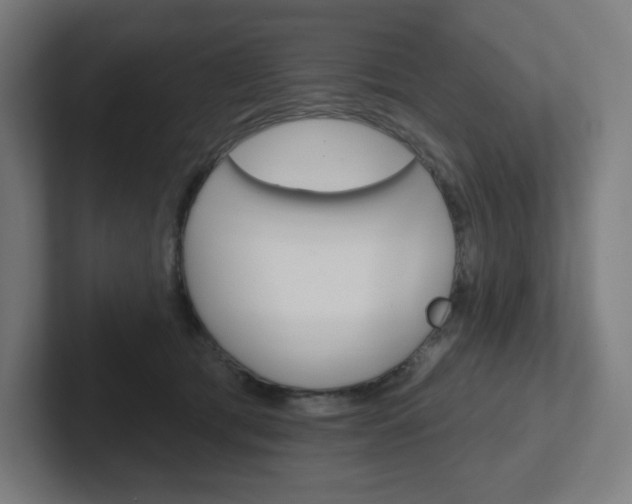 X0000102400417200808010959