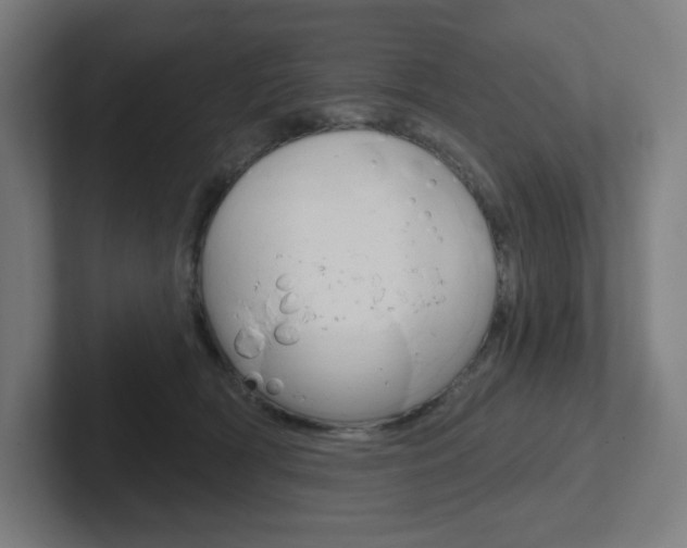 X0000102400418200808010959