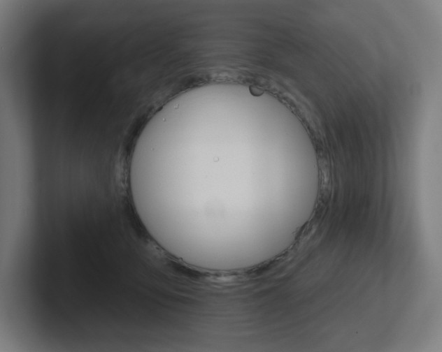 X0000102400419200808010959