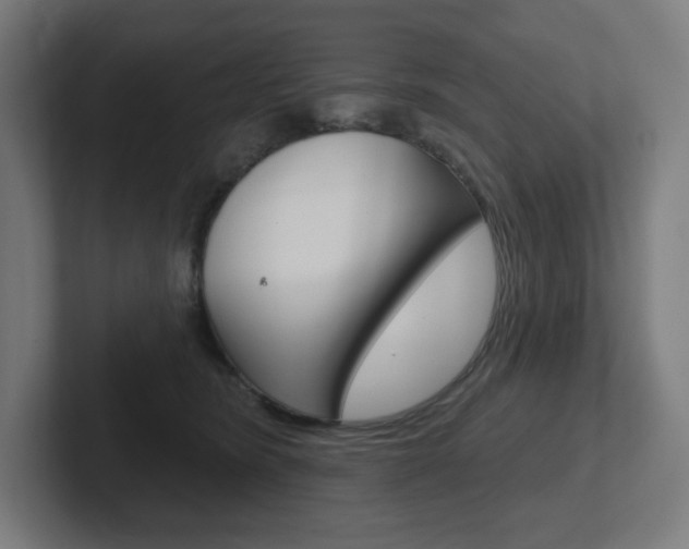 X0000102400420200808010959