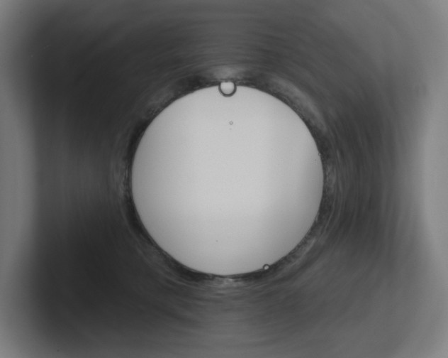 X0000102400421200808010959