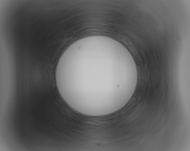 X0000102400423200808010959