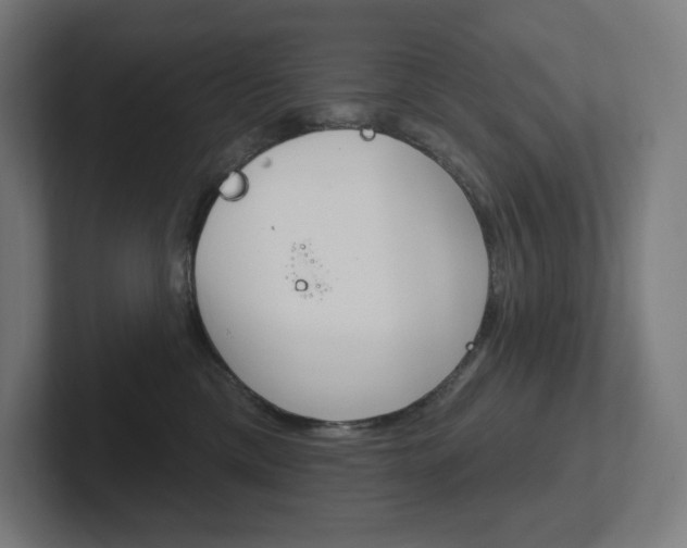 X0000102400425200808010959
