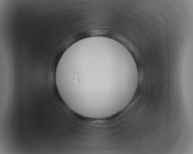 X0000102400426200808010959