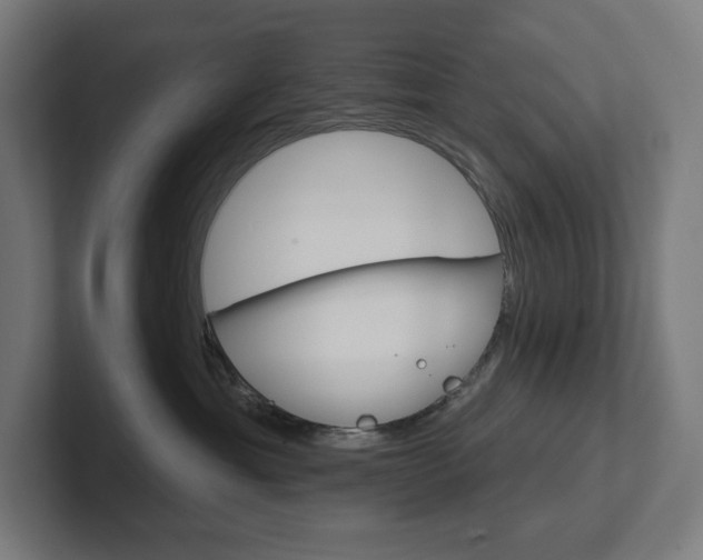 X0000102400429200808010959