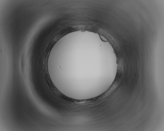 X0000102400430200808010959