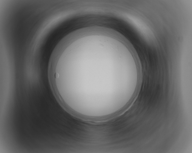 X0000102400431200808010959