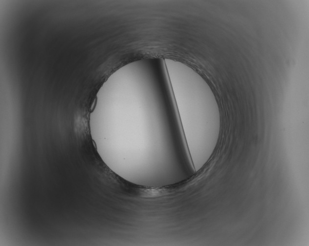 X0000102400432200808010959