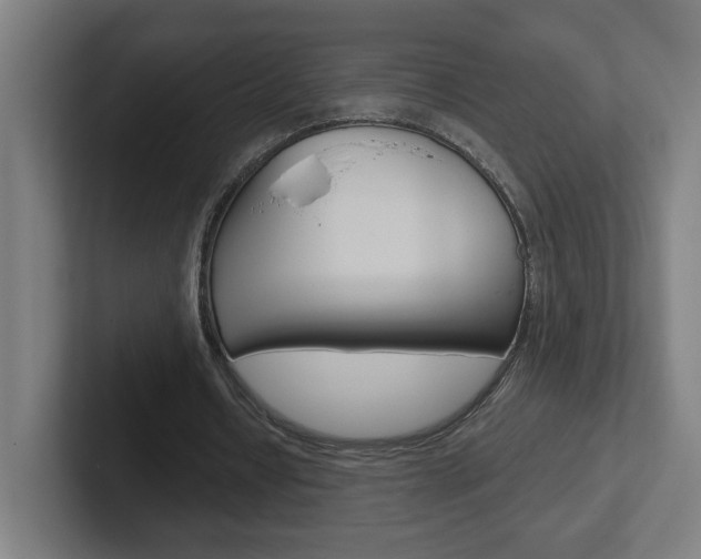 X0000102400434200808010958