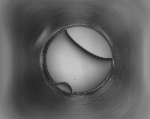 X0000102400435200808010958