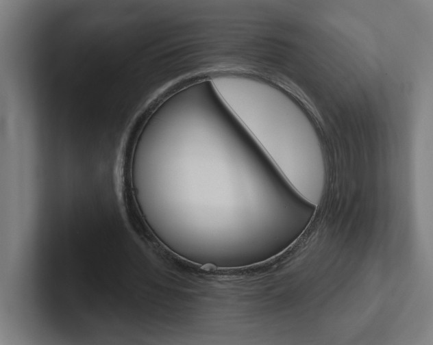 X0000102400436200808010958