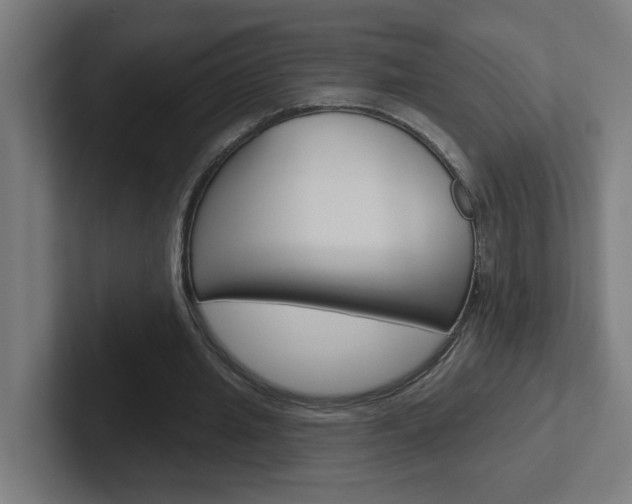 X0000102400437200808010958
