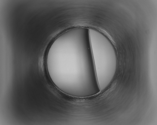 X0000102400439200808010958