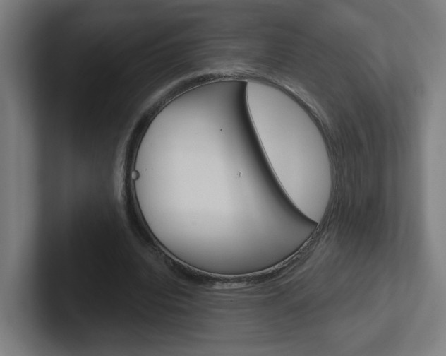 X0000102400440200808010958