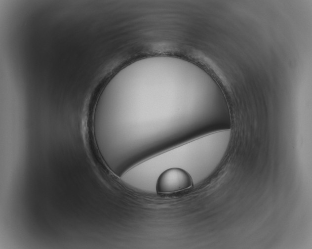 X0000102400443200808010958