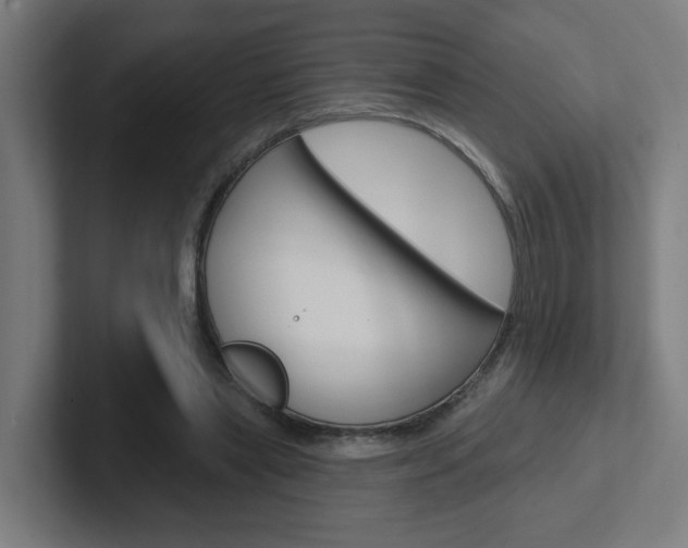 X0000102400445200808010958