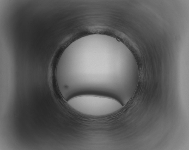 X0000102400448200808010958