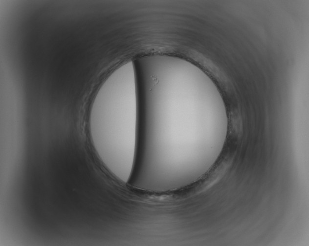 X0000102400450200808010958