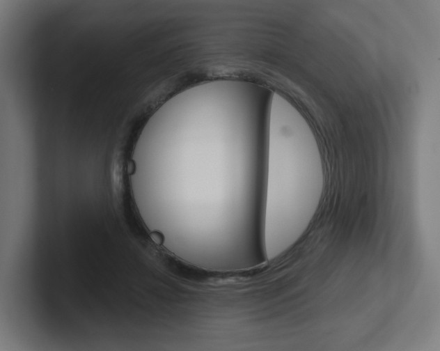 X0000102400452200808010958
