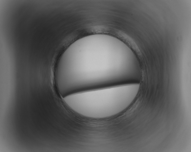 X0000102400453200808010958