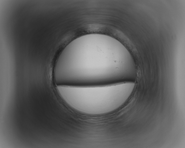 X0000102400454200808010958