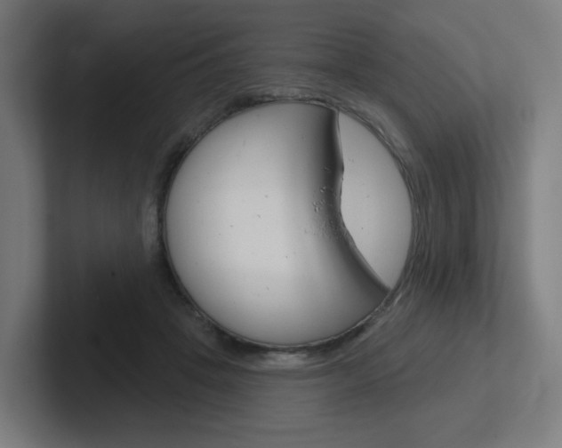 X0000102400457200808010958