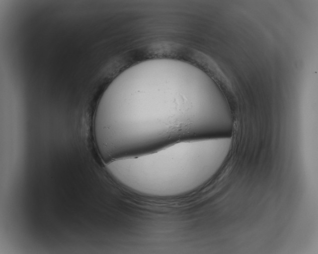 X0000102400458200808010958