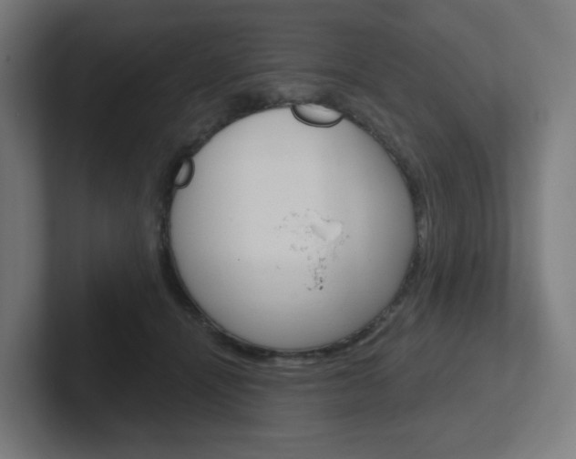 X0000102400464200808010958