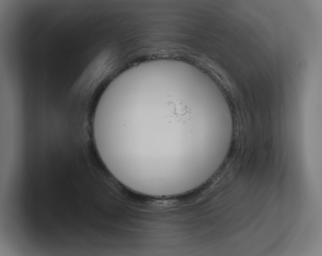 X0000102400465200808010958