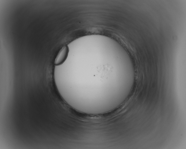 X0000102400466200808010958