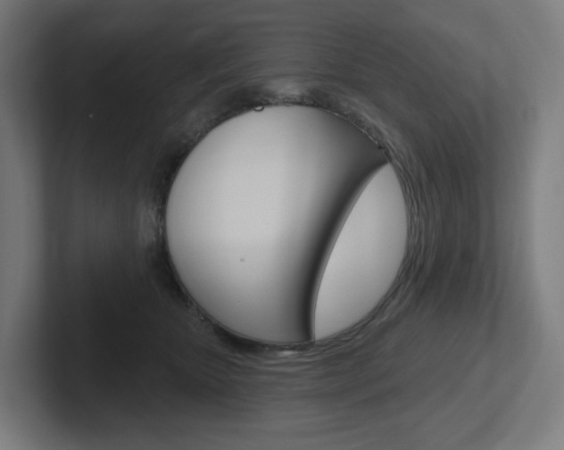 X0000102400467200808010958