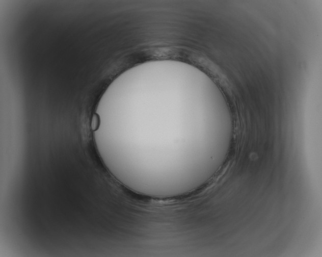 X0000102400469200808010959