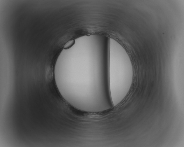X0000102400471200808010959