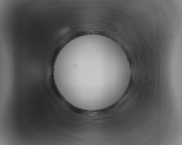 X0000102400472200808010959