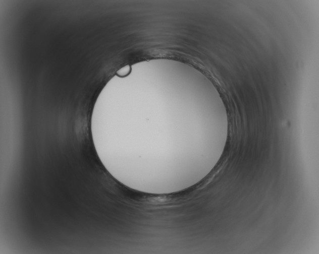 X0000102400473200808010959