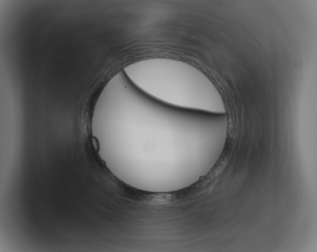 X0000102400474200808010959