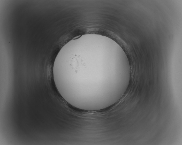 X0000102400475200808010959