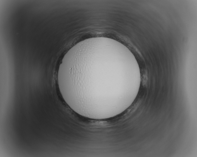 X0000102400476200808010959