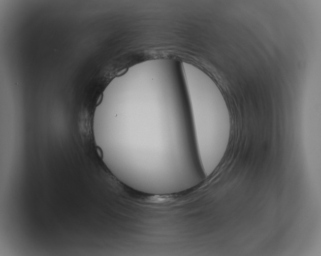 X0000102400477200808010959