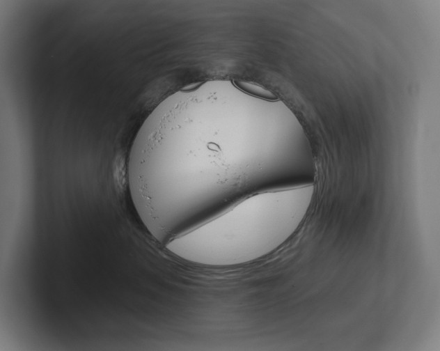 X0000102400479200808010959