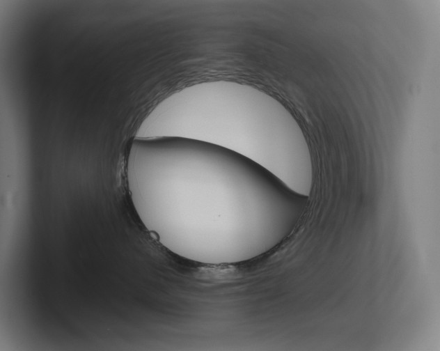 X0000102400480200808010959