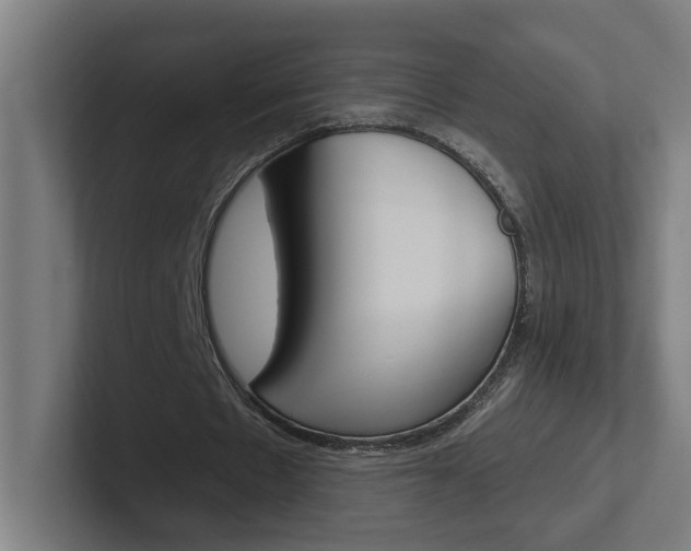 X0000102400481200808010958